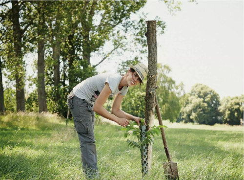 Wir sind im Greenpeace-Magazin!! - 
