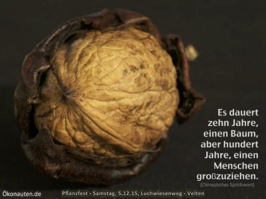 5. Dezember 2015 Pflanzfest Velten - 