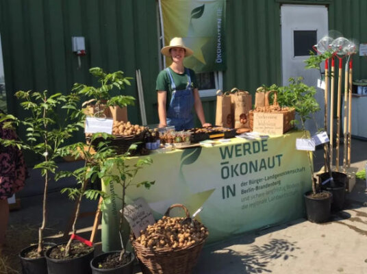 Hoffest Karolinenhof - 