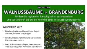 Walnussbaum-Kampagne gestartet! - 
