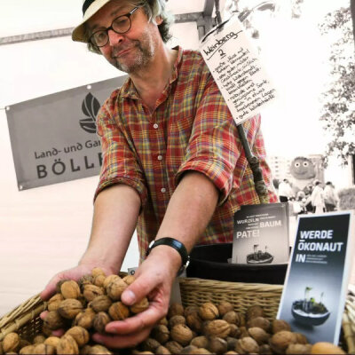Märkte im Dezember - 