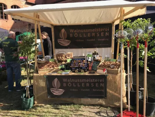 Großer Wittstocker Erzeugermarkt - 