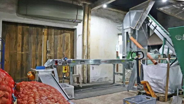 Erste Walnuss-Knackmaschine in der Region - 