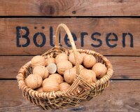 Bio Sorten-Walnüsse in der Schale - Milotai 10