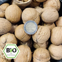 Bio Sorten-Walnüsse in der Schale - Milotai 10