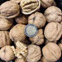 Sorten-Walnüsse aus Deutschland, Westeregeln - A118