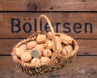 Bio Sorten-Walnüsse in der Schale - Fernor + Franquette