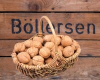 Sorten-Walnüsse aus Deutschland - Sorten-Mix