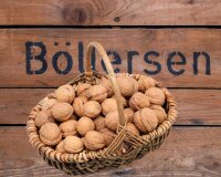 Garten-Walnüsse aus Deutschland