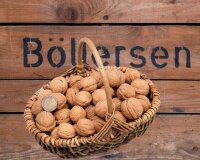 Garten-Walnüsse aus Deutschland