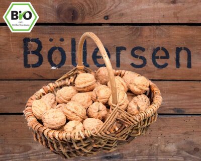Bio Sorten-Walnüsse in der Schale - Franquette <30mm