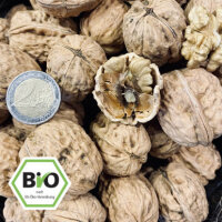 Bio Sorten-Walnüsse in der Schale - Franquette <30mm