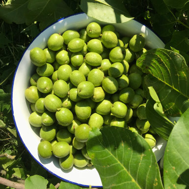 Johanni-Nüsse (Grüne Nüsse)